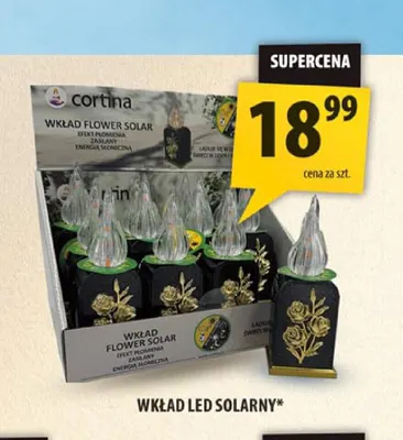 Wkład LED solarny Cortina promocja w Arhelan