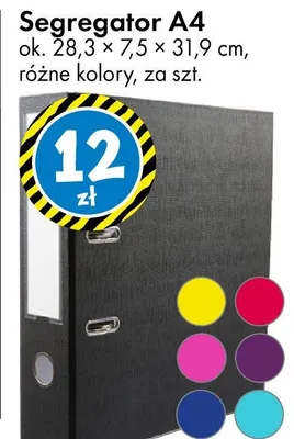 Segregator A4 ok. 28,3 × 7,5 × 31,9 cm, różne kolory promocja w Tedi