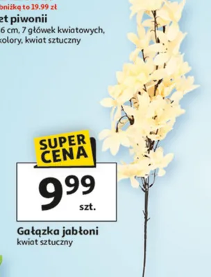 Gałązka jabłoni promocja w Auchan