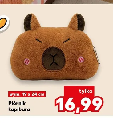 Piórnik kapibara wym. 19x24cm promocja w Kaufland