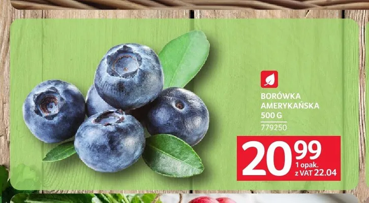 Borówka amerykańska promocja w Selgros