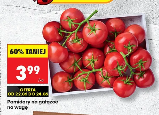 Pomidory na gałązce na wagę promocja w Biedronka