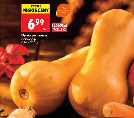 Dynia piżmowa promocja w Biedronka