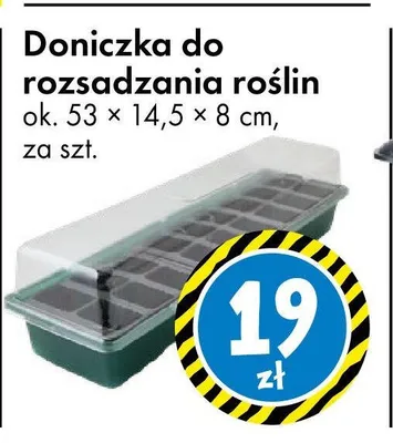 Doniczka do rozsadzania roślin promocja w Tedi