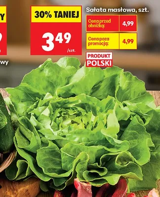 Sałata masłowa polska promocja w Biedronka