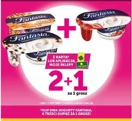 Jogurt Fantasia Chrupiący Słony Karmel promocja w Euro Sklep
