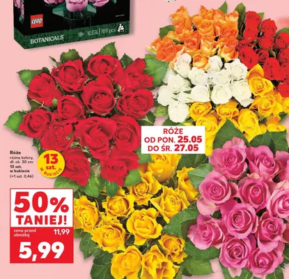 Róże dł. ok. 30cm 13-pak promocja w Kaufland