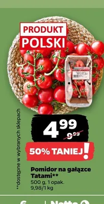 Pomidor na gałązce Tatami promocja w Netto