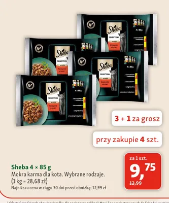 Mokra karma dla kota Sheba 4-pak promocja w MAXI ZOO