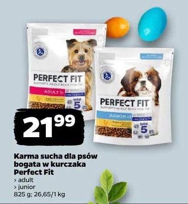 Karma sucha dla psów bogata w kurczaka adult promocja w Netto