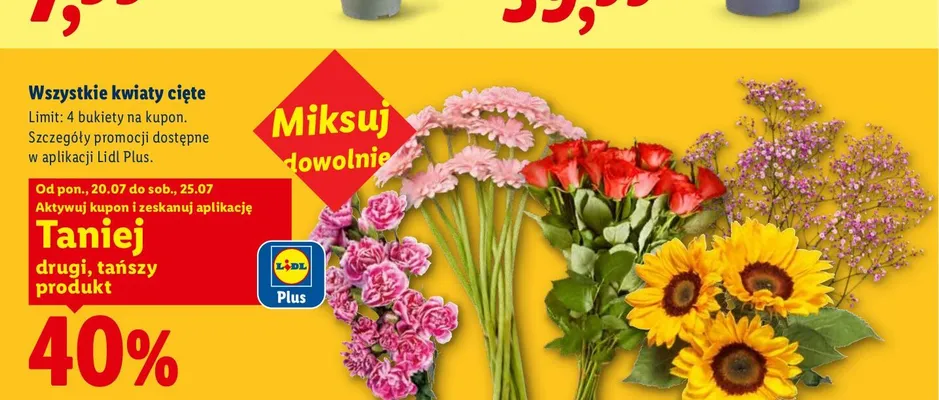 Róże cięte promocja w Lidl