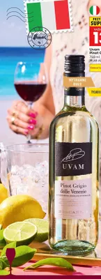 Wino białe wytrawne Uvam Pinot Grigio promocja w Biedronka