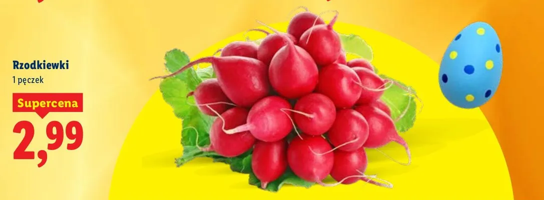 Rzodkiewki promocja w Lidl