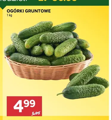 Ogórki gruntowe promocja w Stokrotka