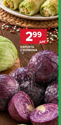 Kapusta czerwona promocja w Stokrotka
