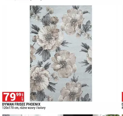 Dywan Frisee Phoenix 120x170 cm promocja w Merkury Market