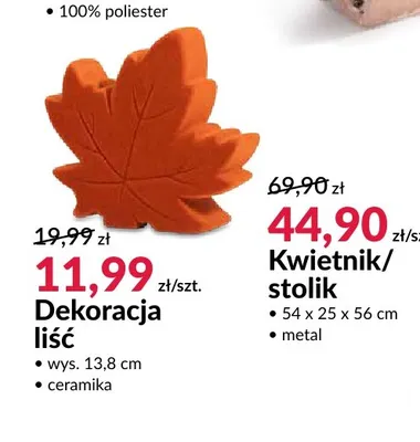 Dekoracja liść promocja w Salony Agata