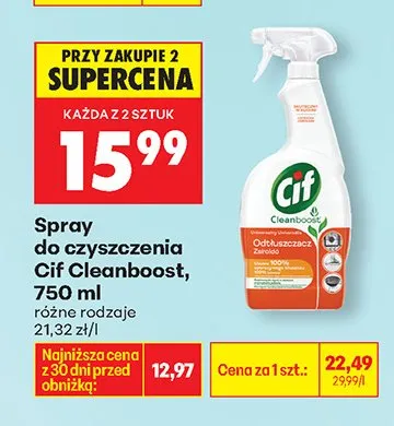 Spray do czyszczenia Cleanboost promocja w Biedronka