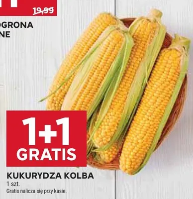 Kukurydza kolba promocja w Stokrotka