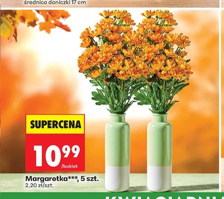 Margaretka 5 szt. promocja w Biedronka