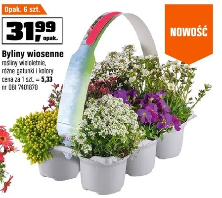 Byliny wiosenne promocja w OBI