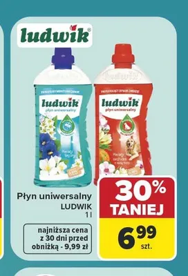 Płyn uniwersalny Kwiaty laguny Ludwik promocja w Carrefour Market