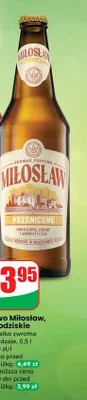 Piwo Miłosław pszeniczne Browar Fortuna promocja w Dino