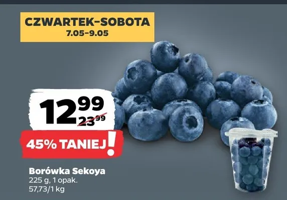 Borówka Sekoya promocja w Netto