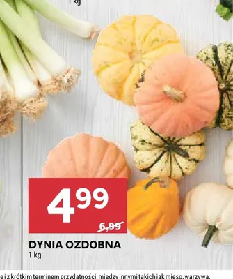 Dynia ozdobna promocja w Stokrotka