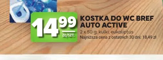Kostka do WC Bref Color Aktiv eukaliptus 2-pak promocja w Stokrotka