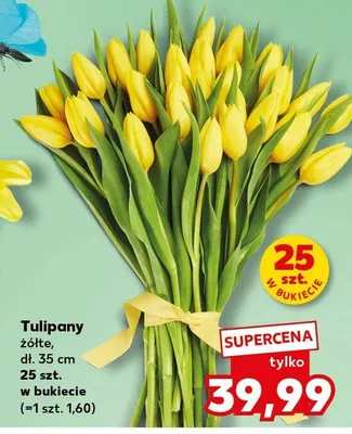 Tulipany żółte promocja w Kaufland