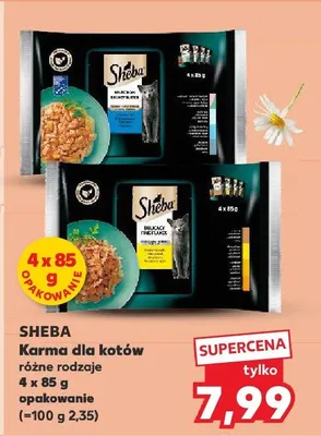 Karma dla kotów różne rodzaje promocja w Kaufland