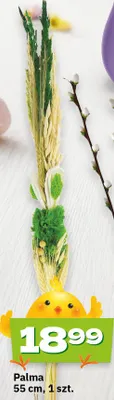 Palma 55 cm promocja w Twój Market