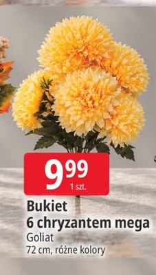 Bukiet 6 chryzantem mega Goliat promocja w Leclerc