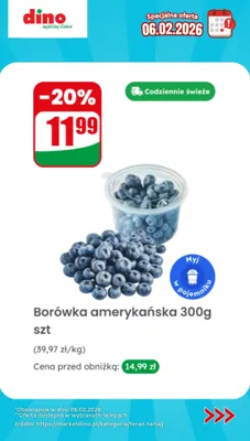 Borówka amerykańska promocja w Dino