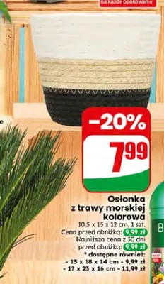 Osłonka z trawy morskiej kolorowa 10,5x15x12 cm promocja w Dino