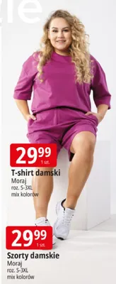 T-shirt damski Moraj roz. S-3XL promocja w Leclerc