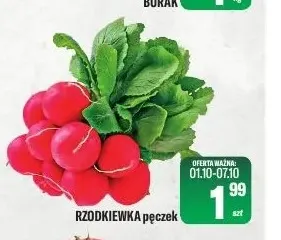 Rzodkiewka promocja w Tomi Markt