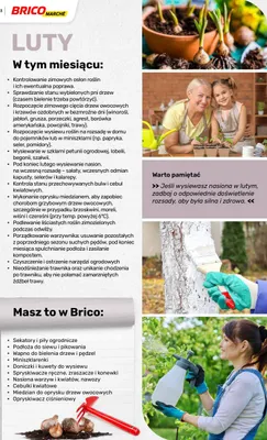 Katalog ogród, strona 122 promocja w Bricomarche