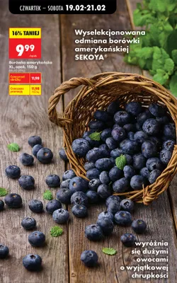 Borówka amerykańska XL promocja w Biedronka