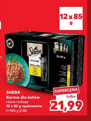 Karma dla kotów Sheba 12-pak promocja w Kaufland