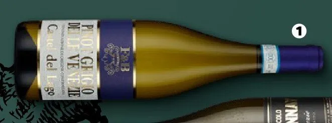 Wino białe wytrawne Castel del Lago Pinot Grigio promocja w Netto