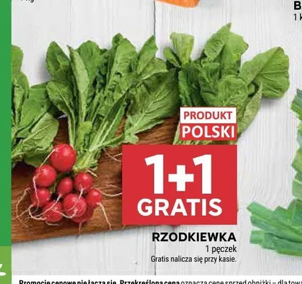 Rzodkiewka polska promocja w Stokrotka