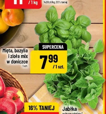 Zioła mix w doniczce promocja w POLOmarket