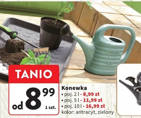 Konewka promocja w Intermarche