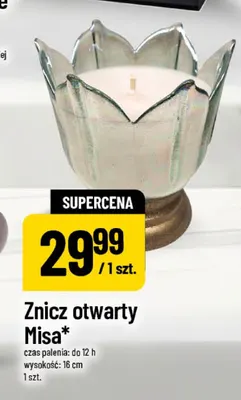 Znicz otwarty Misa promocja w POLOmarket