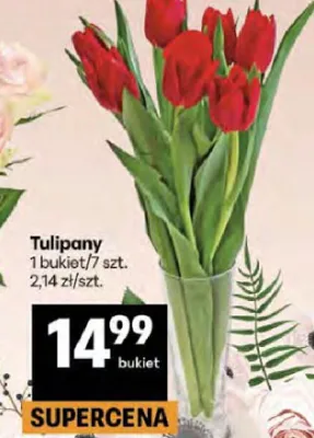 Tulipany promocja w Delikatesy Centrum