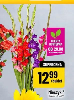 Mieczyki promocja w POLOmarket