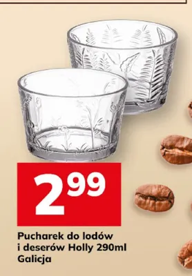 Pucharek do lodów i deserów Holly Galicja promocja w Hitpol