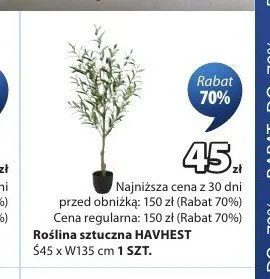 Roślina sztuczna HAVHEST promocja w Jysk